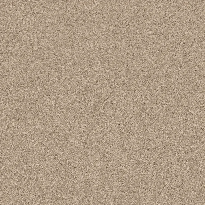 Shaw Floors Velvet Touch I — Straw Hat · 5E871-00103 — flooring selection with LeviArs Design & Remodeling