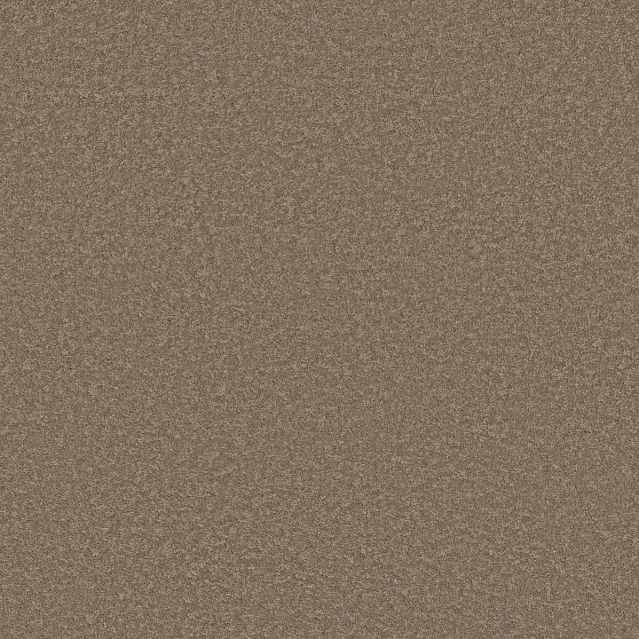 Shaw Floors Velvet Touch I — Timberlake · 5E871-00701 — flooring selection with LeviArs Design & Remodeling