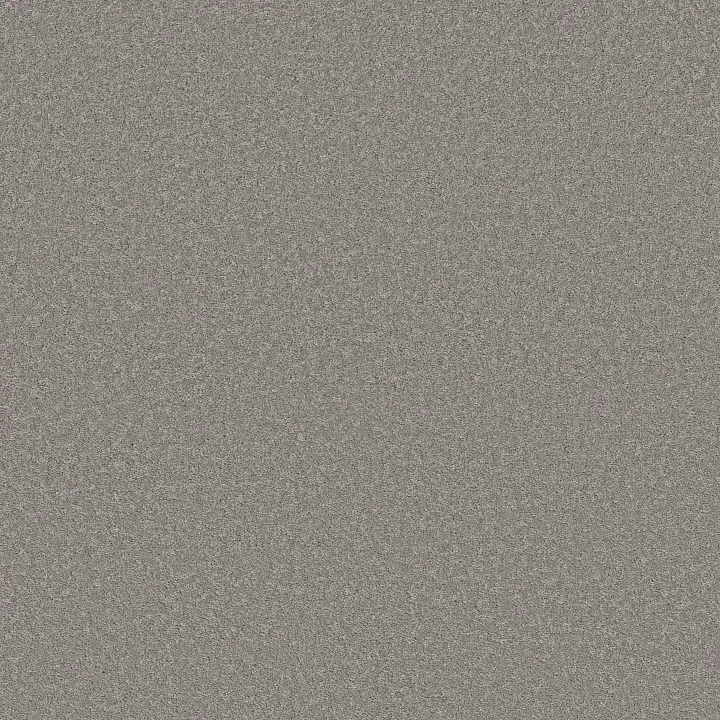 Shaw Floors Velvet Touch I — Vintage · 5E871-00502 — flooring selection with LeviArs Design & Remodeling