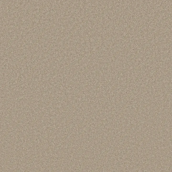 Shaw Floors Velvet Touch II — Chic Greige · 5E872-00104 — flooring selection with LeviArs Design & Remodeling