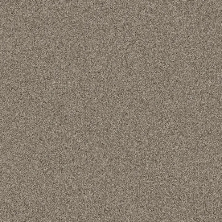 Shaw Floors Velvet Touch II — Plaza Taupe · 5E872-00702 — flooring selection with LeviArs Design & Remodeling