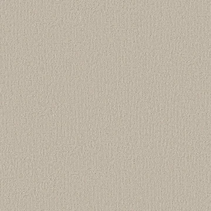 Shaw Floors Vintage Flair — Boho · 5E929-00109 — flooring selection with LeviArs Design & Remodeling