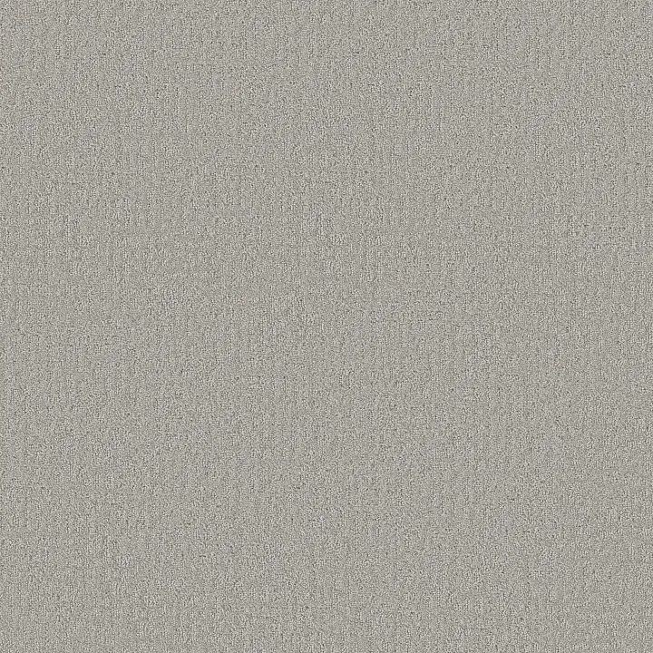 Shaw Floors Vintage Flair — Chromatic · 5E929-00502 — flooring selection with LeviArs Design & Remodeling
