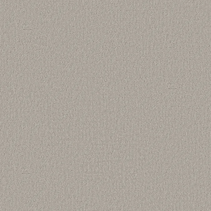 Shaw Floors Vintage Flair — Fringe · 5E929-00124 — flooring selection with LeviArs Design & Remodeling