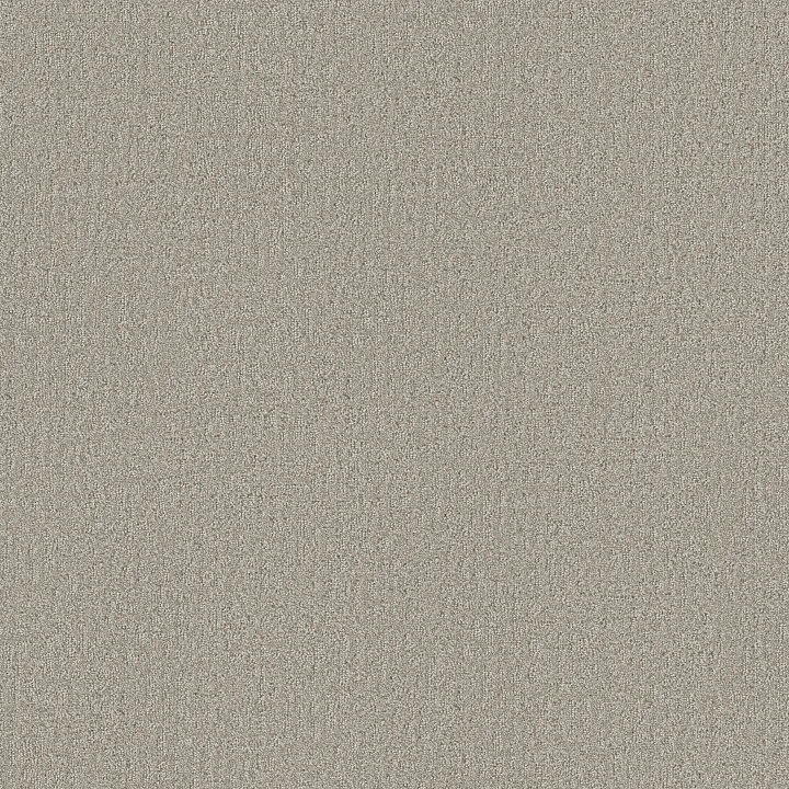 Shaw Floors Vintage Flair — Rattan · 5E929-00702 — flooring selection with LeviArs Design & Remodeling