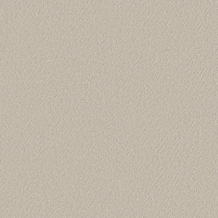 Shaw Floors Vintage Motif — Boho · 5E930-00109 — flooring selection with LeviArs Design & Remodeling