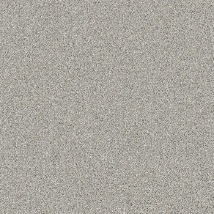 Shaw Floors Vintage Motif — Chromatic · 5E930-00502 — flooring selection with LeviArs Design & Remodeling