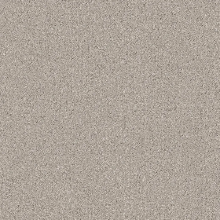 Shaw Floors Vintage Motif — Fringe · 5E930-00124 — flooring selection with LeviArs Design & Remodeling