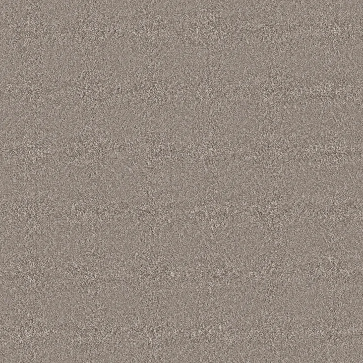 Shaw Floors Vintage Motif — Suede · 5E930-00701 — flooring selection with LeviArs Design & Remodeling