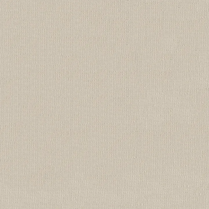 Shaw Floors Vivid Memories — Homemade Ice Cream · EA833-00124 — flooring selection with LeviArs Design & Remodeling