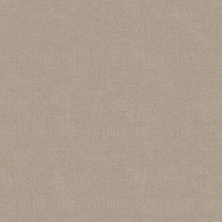 Shaw Floors Vivid Memories — My Haven · EA833-00743 — flooring selection with LeviArs Design & Remodeling
