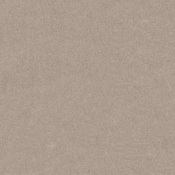 Shaw Floors Vivid Touch I — Baja · 5E873-00720 — flooring selection with LeviArs Design & Remodeling