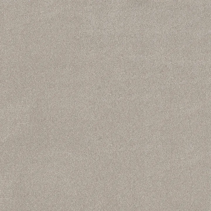 Shaw Floors Vivid Touch I — Beige Mist · 5E873-00121 — flooring selection with LeviArs Design & Remodeling