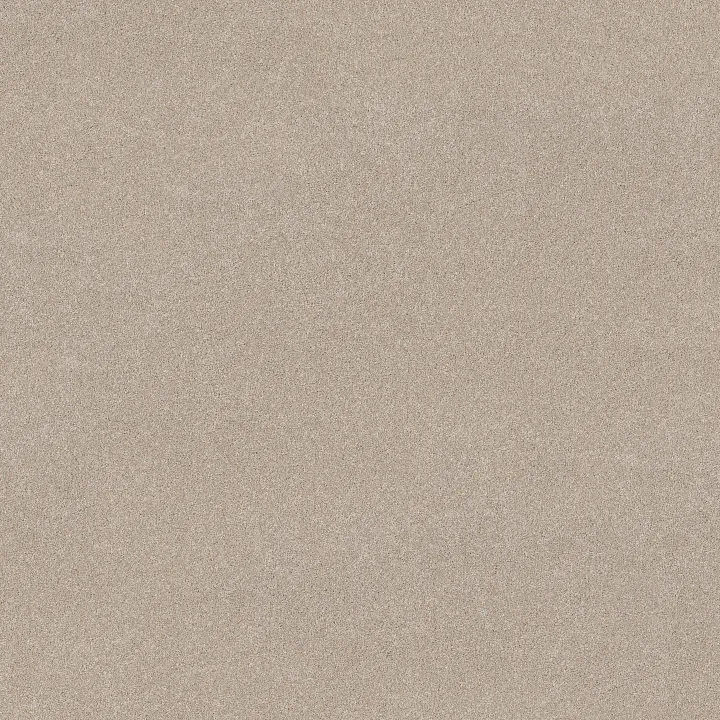 Shaw Floors Vivid Touch I — Cafe Latte · 5E873-00122 — flooring selection with LeviArs Design & Remodeling