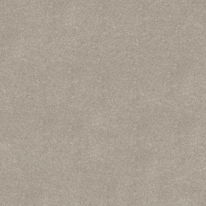Shaw Floors Vivid Touch I — Chic Taupe · 5E873-00124 — flooring selection with LeviArs Design & Remodeling