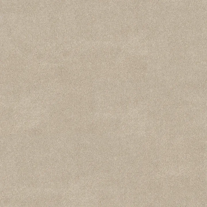Shaw Floors Vivid Touch I — Dune View · 5E873-00120 — flooring selection with LeviArs Design & Remodeling
