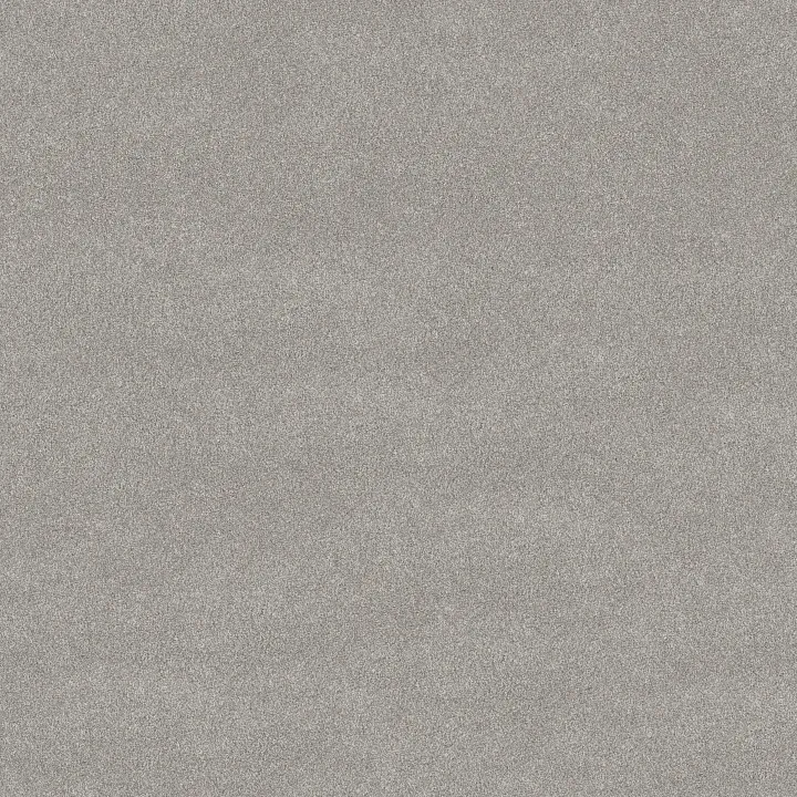 Shaw Floors Vivid Touch I — Four Winds · 5E873-00520 — flooring selection with LeviArs Design & Remodeling