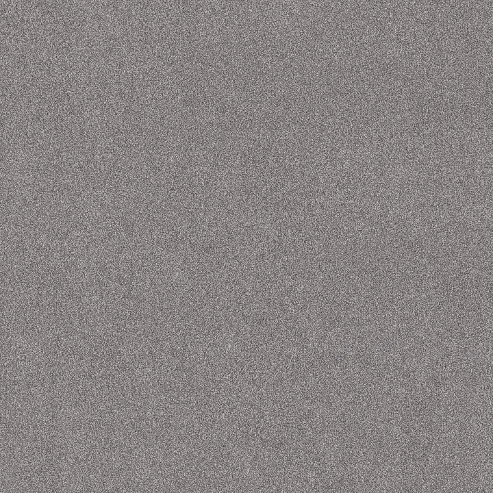Shaw Floors Vivid Touch I — Graphic · 5E873-00522 — flooring selection with LeviArs Design & Remodeling