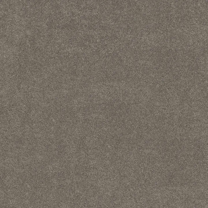 Shaw Floors Vivid Touch I — Hideaway · 5E873-00722 — flooring selection with LeviArs Design & Remodeling