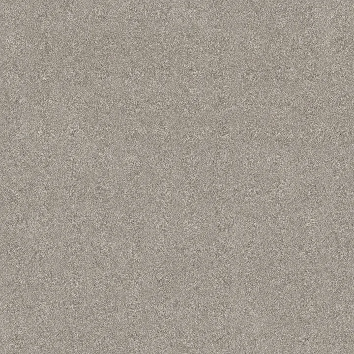 Shaw Floors Vivid Touch I — Marble · 5E873-00523 — flooring selection with LeviArs Design & Remodeling