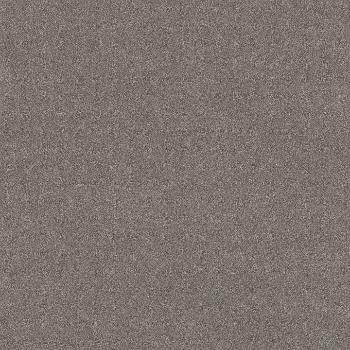 Shaw Floors Vivid Touch I — Shadows · 5E873-00524 — flooring selection with LeviArs Design & Remodeling