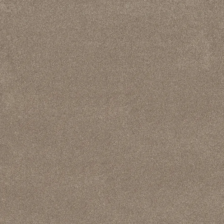 Shaw Floors Vivid Touch I — Stonecrest · 5E873-00123 — flooring selection with LeviArs Design & Remodeling