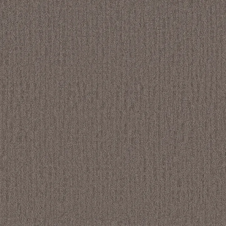 Shaw Floors Wanderer — Mustang · ZZ224-00776 — flooring selection with LeviArs Design & Remodeling