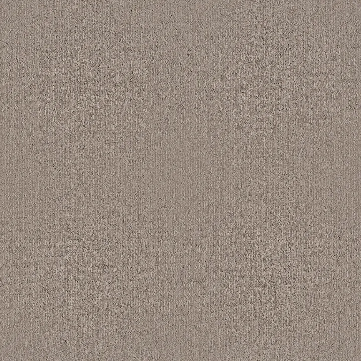 Shaw Floors Wanderer — Plains · ZZ224-00753 — flooring selection with LeviArs Design & Remodeling