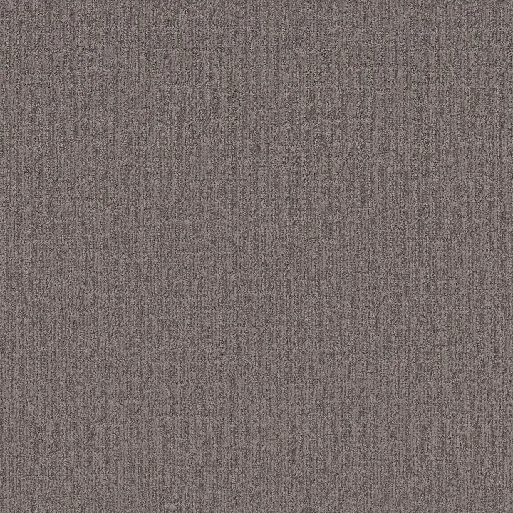 Shaw Floors Wanderer — Portland · ZZ224-00576 — flooring selection with LeviArs Design & Remodeling
