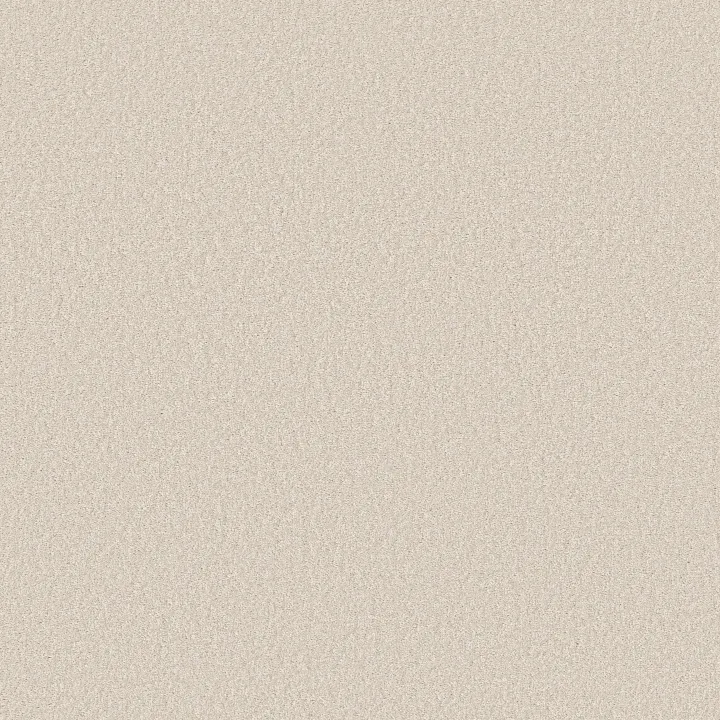 Shaw Floors Way To Go I — Antique Ivory · 5E668-00108 — flooring selection with LeviArs Design & Remodeling