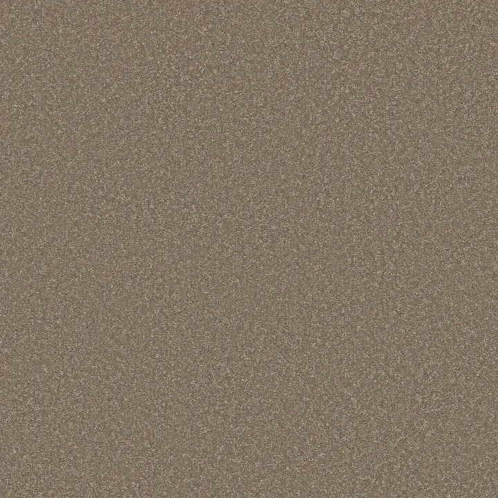 Shaw Floors Way To Go II — Chic Taupe · 5E669-00711 — flooring selection with LeviArs Design & Remodeling
