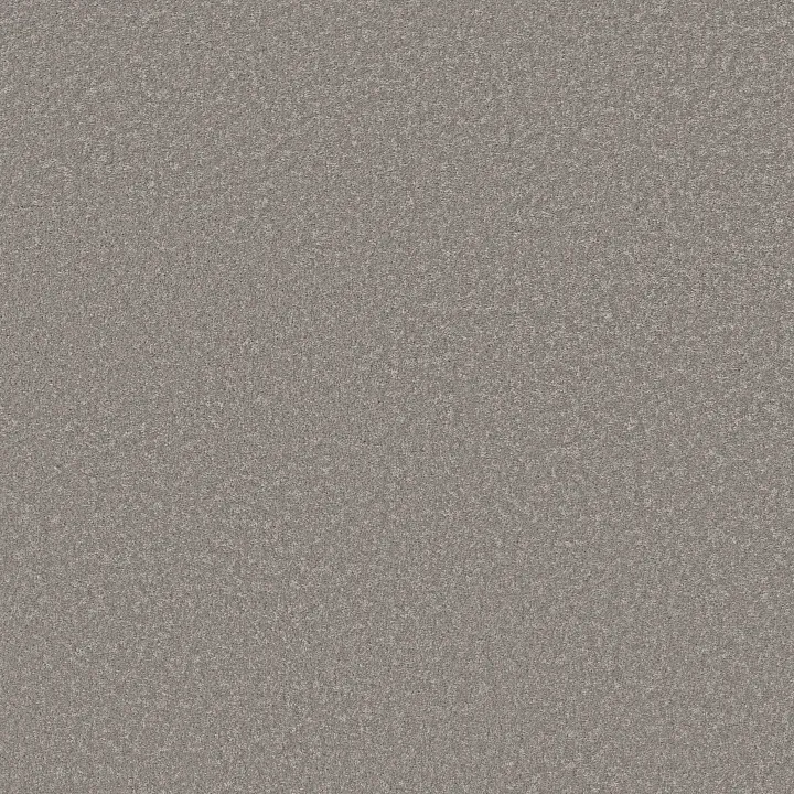 Shaw Floors Way To Go I — Chicago Fog · 5E668-00501 — flooring selection with LeviArs Design & Remodeling