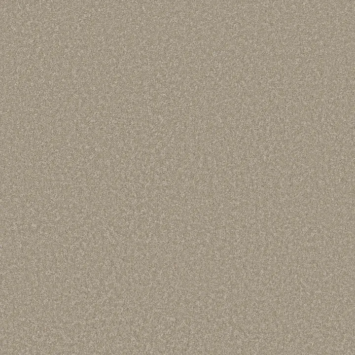 Shaw Floors Way To Go I — Desert Khaki · 5E668-00111 — flooring selection with LeviArs Design & Remodeling