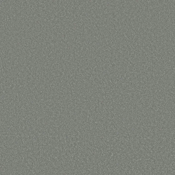 Shaw Floors Way To Go I — Dolphin Fin · 5E668-00400 — flooring selection with LeviArs Design & Remodeling