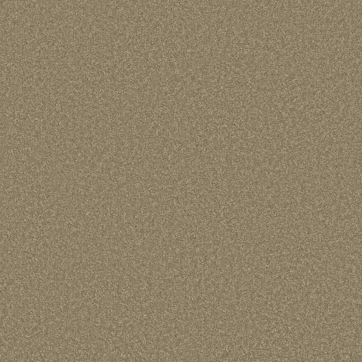 Shaw Floors Way To Go I — Hidden Treasure · 5E668-00700 — flooring selection with LeviArs Design & Remodeling