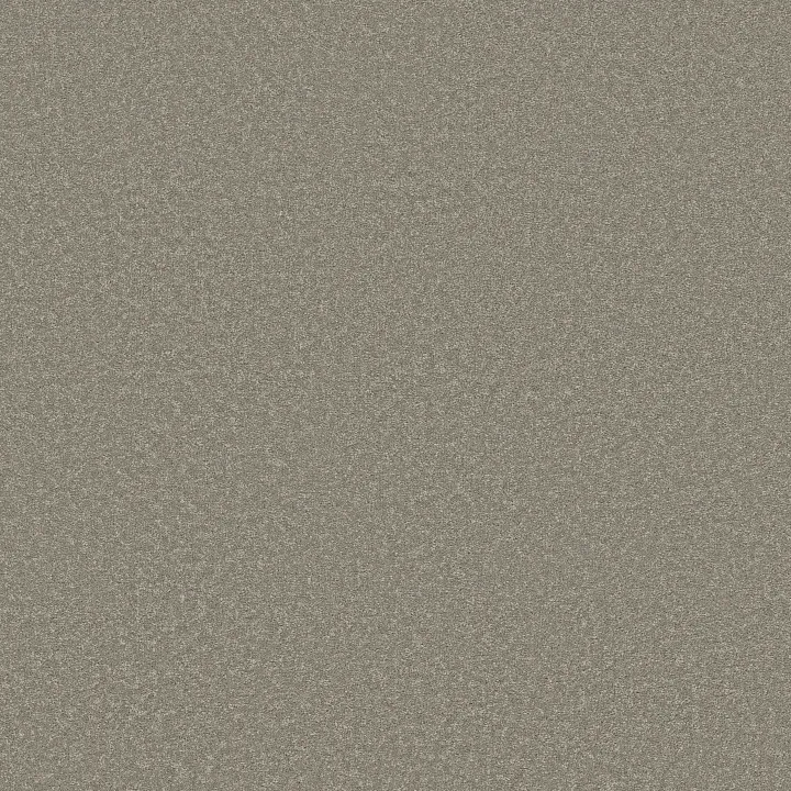 Shaw Floors Way To Go I — Mossy Oak · 5E668-00502 — flooring selection with LeviArs Design & Remodeling