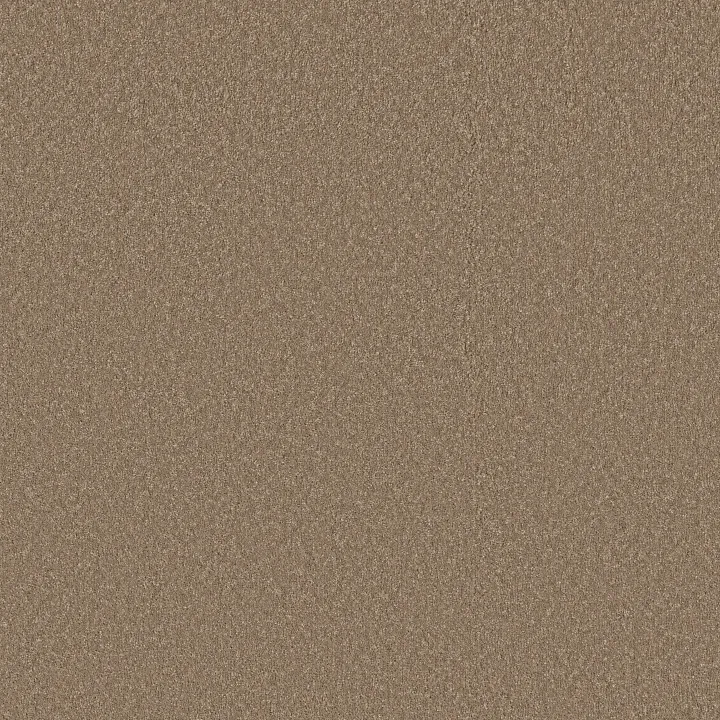 Shaw Floors Way To Go II — Polo Tan · 5E669-00710 — flooring selection with LeviArs Design & Remodeling