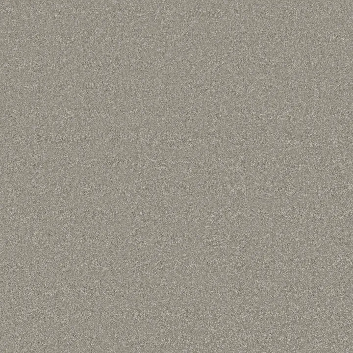 Shaw Floors Way To Go I — Taupe Tone · 5E668-00500 — flooring selection with LeviArs Design & Remodeling