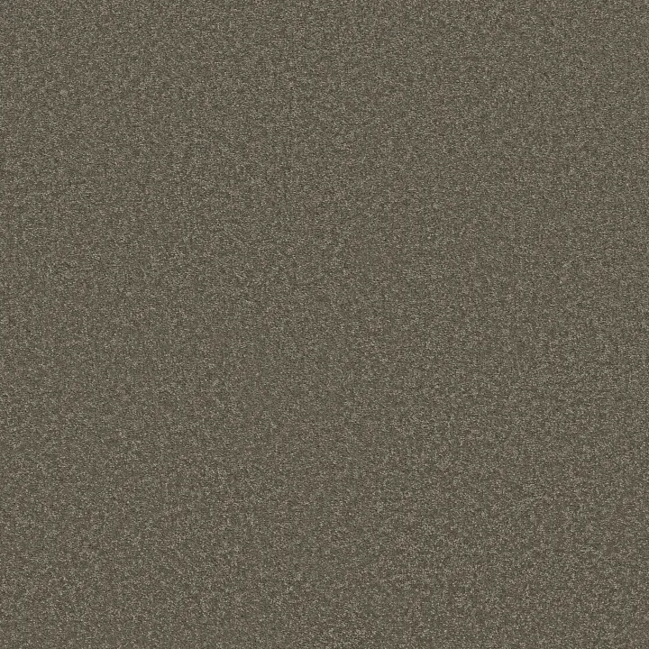 Shaw Floors Way To Go I — Urban Studio · 5E668-00703 — flooring selection with LeviArs Design & Remodeling