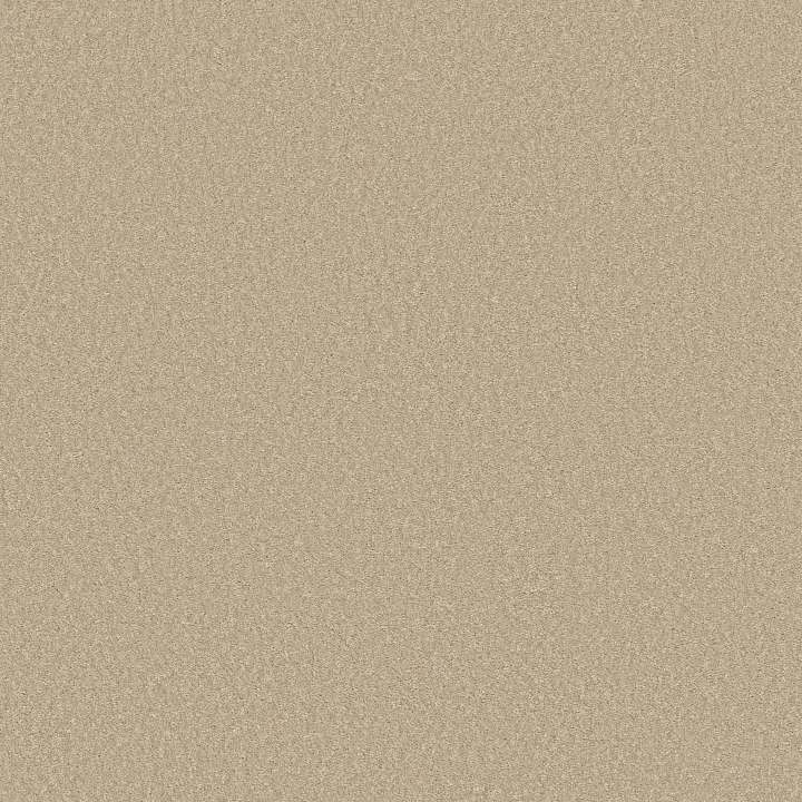 Shaw Floors Way To Go I — Warm Breeze · 5E668-00102 — flooring selection with LeviArs Design & Remodeling