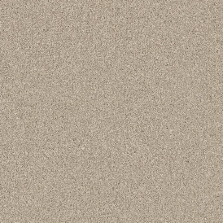 Shaw Floors Way To Go III — Adobe Sand · 5E670-00112 — flooring selection with LeviArs Design & Remodeling