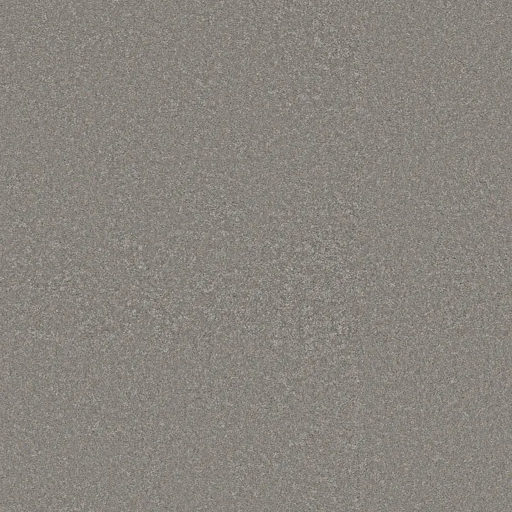 Shaw Floors Way To Go III — Chicago Fog · 5E670-00501 — flooring selection with LeviArs Design & Remodeling