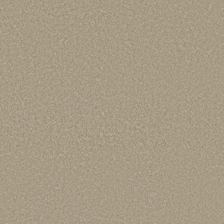 Shaw Floors Way To Go III — Desert Khaki · 5E670-00111 — flooring selection with LeviArs Design & Remodeling