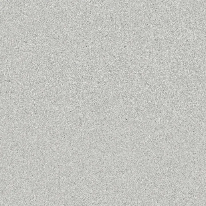 Shaw Floors Way To Go III — Frost · 5E670-00107 — flooring selection with LeviArs Design & Remodeling