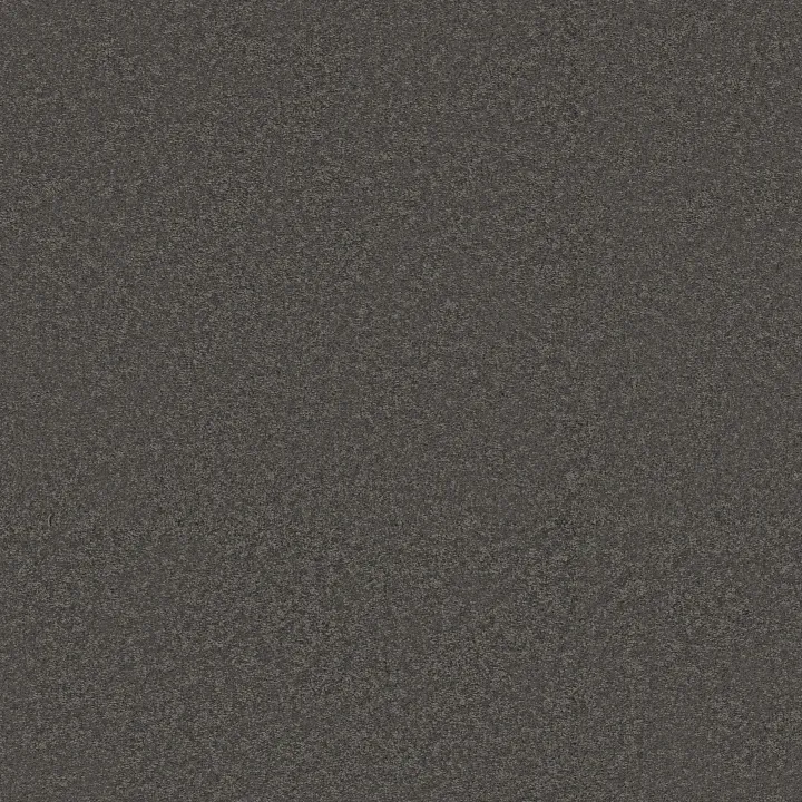 Shaw Floors Way To Go III — Galaxy · 5E670-00505 — flooring selection with LeviArs Design & Remodeling