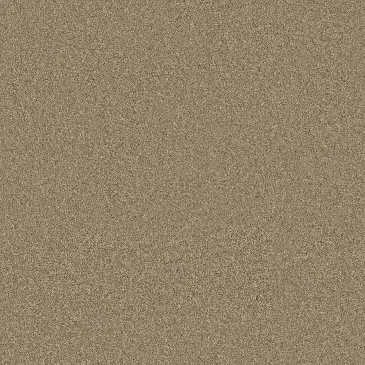 Shaw Floors Way To Go III — Hidden Treasure · 5E670-00700 — flooring selection with LeviArs Design & Remodeling