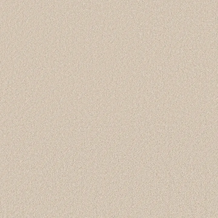 Shaw Floors Way To Go III — Soft Landing · 5E670-00101 — flooring selection with LeviArs Design & Remodeling