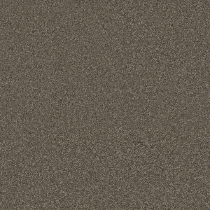 Shaw Floors Way To Go III — Urban Studio · 5E670-00703 — flooring selection with LeviArs Design & Remodeling