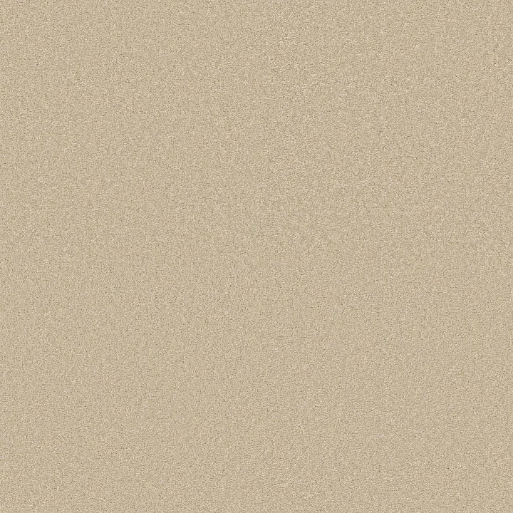 Shaw Floors Way To Go III — Warm Breeze · 5E670-00102 — flooring selection with LeviArs Design & Remodeling