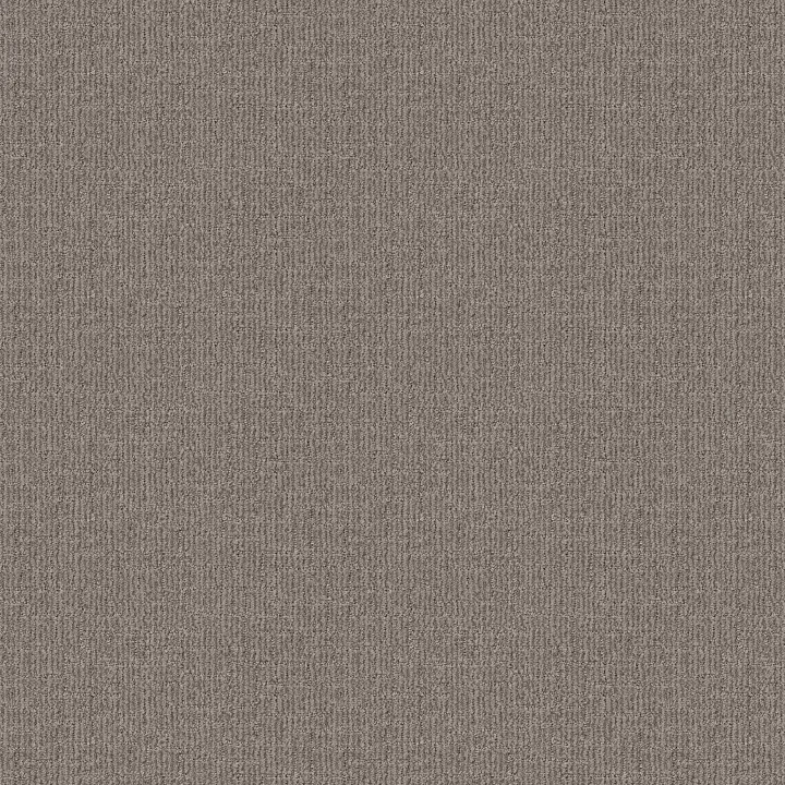 Shaw Floors Wayfarer — Calm · ZZ225-00512 — flooring selection with LeviArs Design & Remodeling